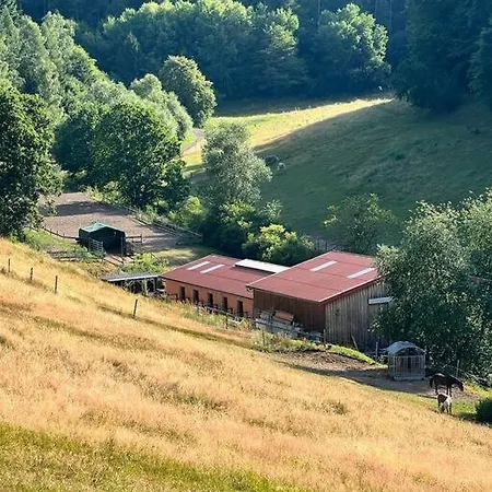 公寓 Beim Pferdehof *