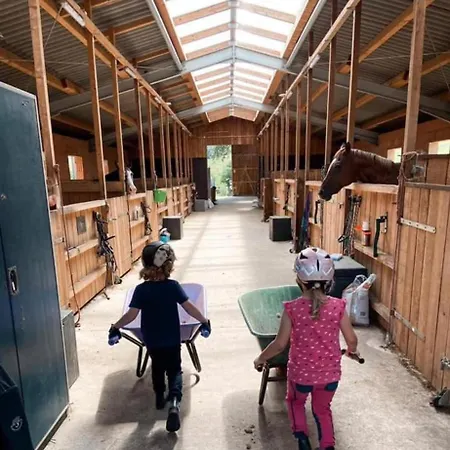 Beim Pferdehof Lägenhet *